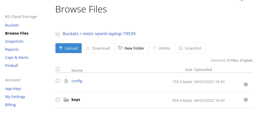 Files created by restic init.